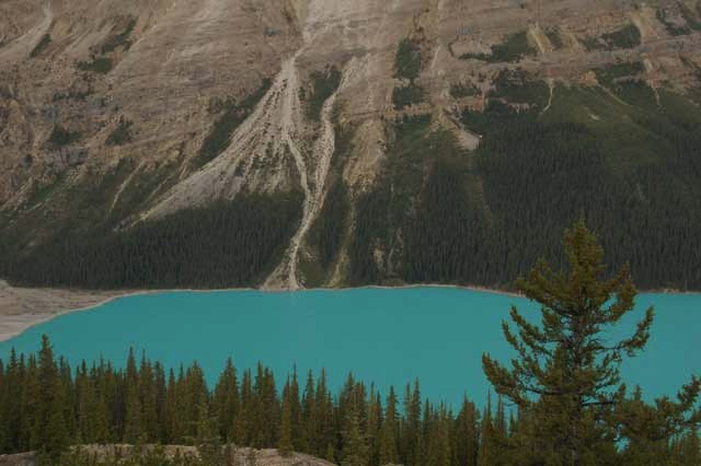 Peyto Lake